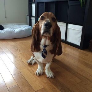 Meet your Posher, Pam